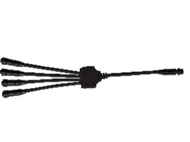 transf24vImage4