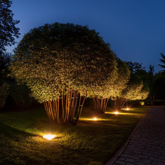 Encastrés bois, Jardin, Béton