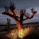 Projecteur Noir Alu A POSER 30 - 10W - 3000°K