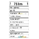 G11_2.webp