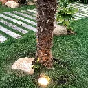 2586_3.webp