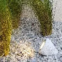 3216_5.webp