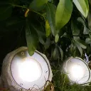 3216_4.webp