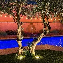 2586_9.webp