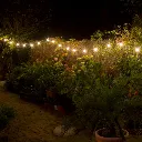 8506-G11_2.webp