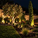 3636_9.webp