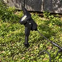 3426_4.webp
