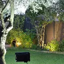 3956_3.webp