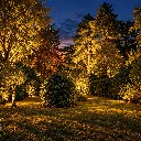 3956_4.webp