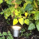 3676_3.webp