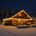 9550 - EXTENSION - Rideau long 60 LEDS (fixe) - Larg. 0,75m x Ht 200cm - Fil Noir - Blanc Chaud 2200°K