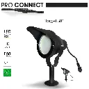 3636_0.webp
