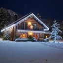 9513 - EXTENSION - Guirlande 30 LEDS (Flash) - 3 m - Fil Noir - Blanc Froid 6500°K