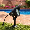 3636_7.webp