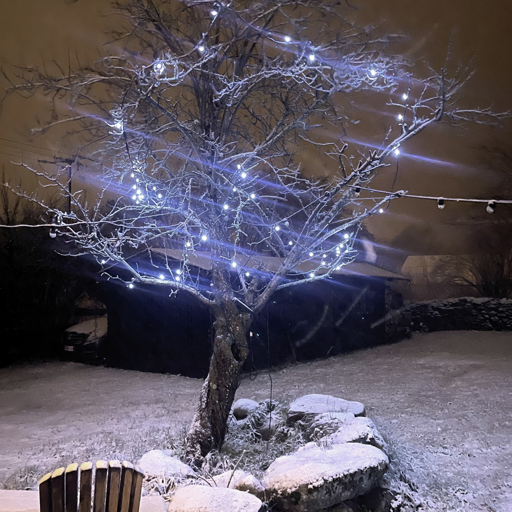 9523 - EXTENSION - Guirlande 60 LEDS (Flash) - 6 m - Fil Noir - Blanc Froid 6500°K