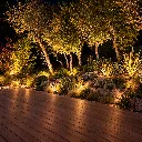 3416_9.webp