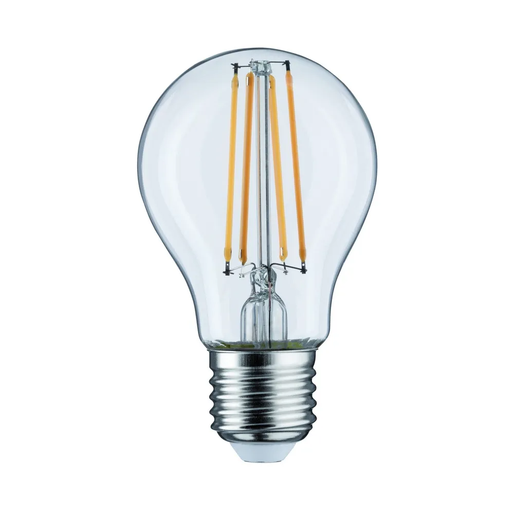 Large Format E27 LED Bulb (A67)