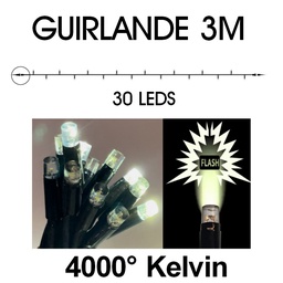 [9512] 9512 - EXTENSION - Guirlande 30 LEDS (Flash) - 3 m - Fil Noir - Blanc Chaud 4000°K